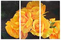 Set of Yellow Roses